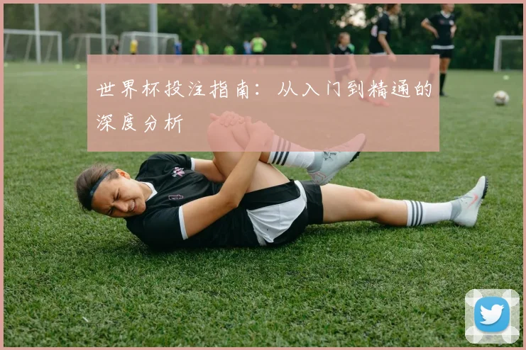世界杯投注指南：从入门到精通的深度分析