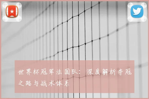 世界杯冠军法国队：深度解析夺冠之路与战术体系