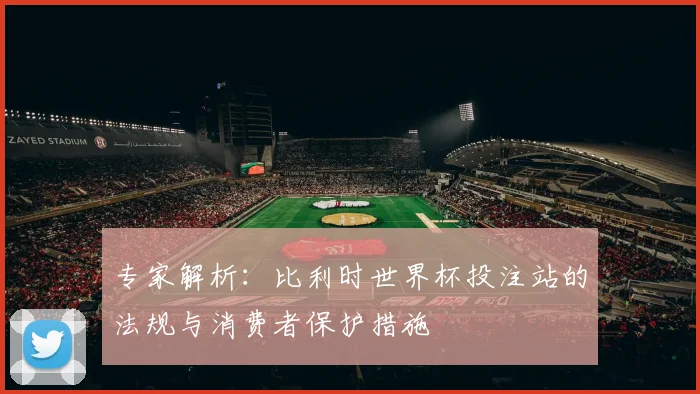 专家解析：比利时世界杯投注站的法规与消费者保护措施