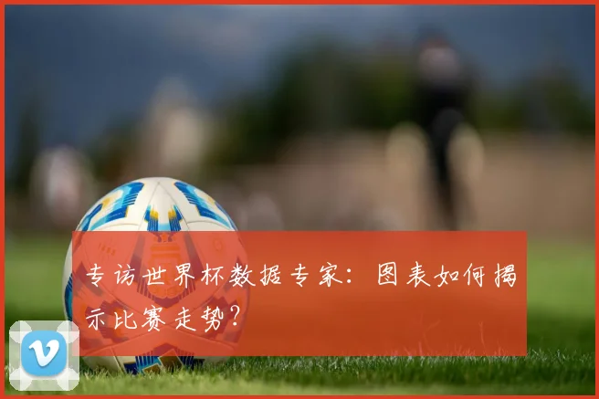 专访世界杯数据专家：图表如何揭示比赛走势？