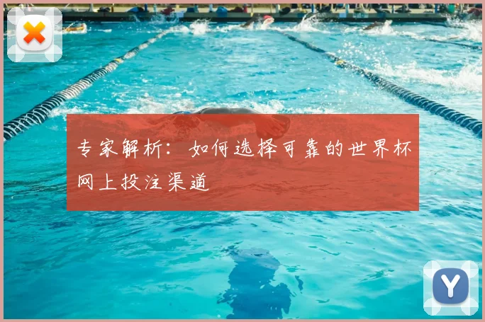 专家解析：如何选择可靠的世界杯网上投注渠道
