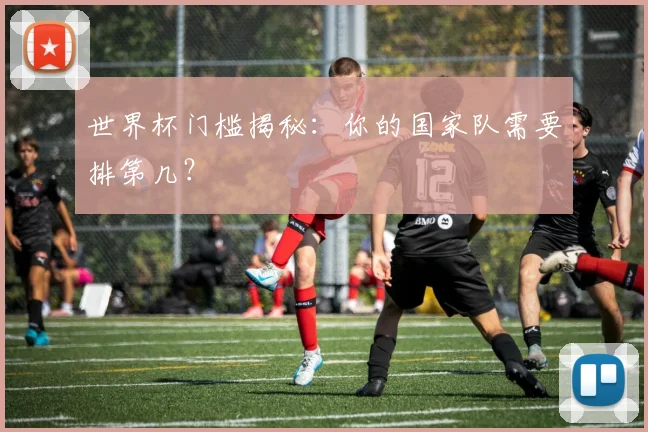 世界杯门槛揭秘：你的国家队需要排第几？