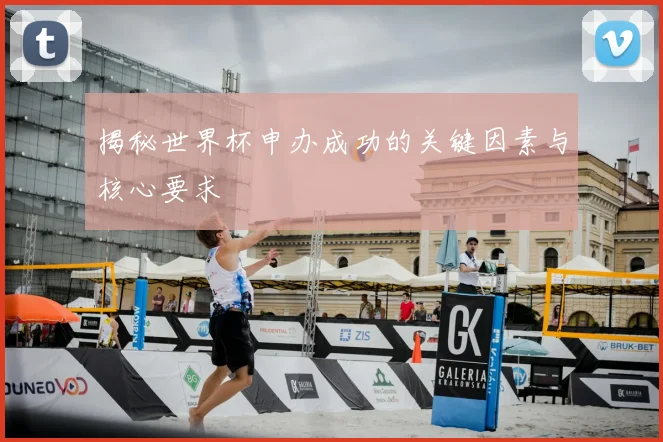 揭秘世界杯申办成功的关键因素与核心要求
