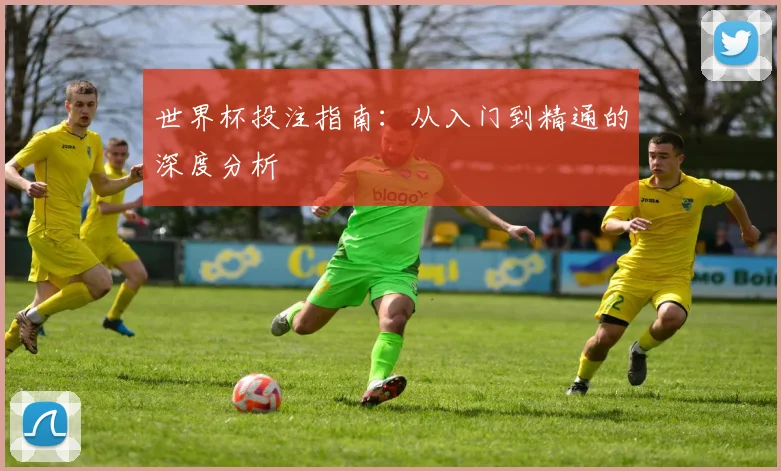 世界杯投注指南：从入门到精通的深度分析