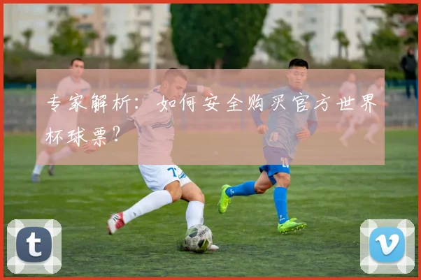 专家解析：如何安全购买官方世界杯球票？