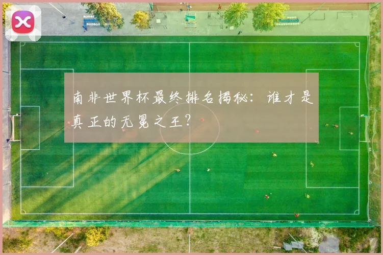 南非世界杯最终排名揭秘：谁才是真正的无冕之王？