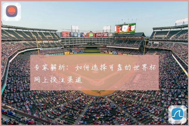 专家解析:如何选择可靠的世界杯网上投注渠道