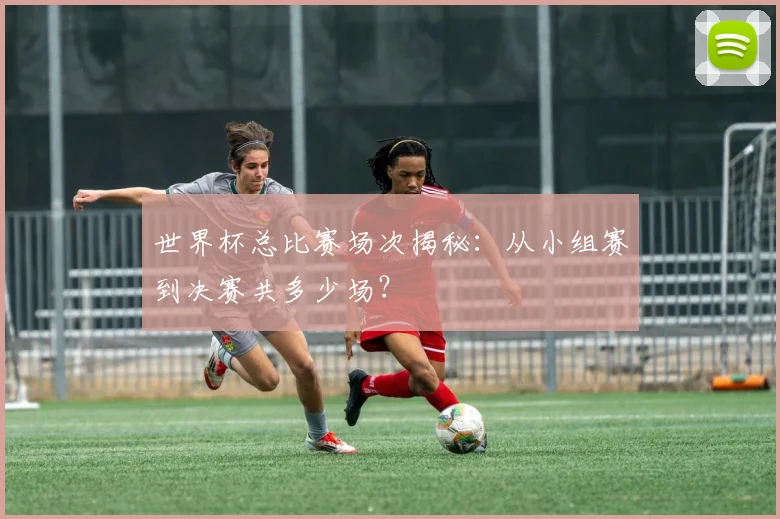 世界杯总比赛场次揭秘：从小组赛到决赛共多少场？